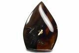 Polished Indonesian Blue Amber Flame #338012-1